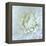 Close-up of White Flower-Clive Nichols-Framed Premier Image Canvas