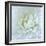 Close-up of White Flower-Clive Nichols-Framed Photographic Print