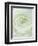 Close-up of White Flower-Clive Nichols-Framed Photographic Print