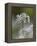 Close-Up of Wild Garlic Flower, Lancashire, England, United Kingdom-Ann & Steve Toon-Framed Premier Image Canvas