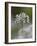 Close-Up of Wild Garlic Flower, Lancashire, England, United Kingdom-Ann & Steve Toon-Framed Photographic Print