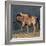 Close-up of wildebeest, aka Gnu. Camelthorn Lodge. Hwange National Park. Zimbabwe.-Tom Norring-Framed Photographic Print