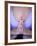 Close-up of Woman Doing Yoga-Elisa Cicinelli-Framed Photographic Print