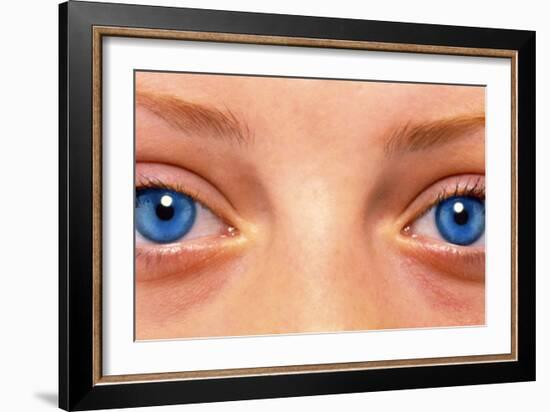Close-up of Woman's Face Showing Her Two Blue Eyes-Damien Lovegrove-Framed Photographic Print