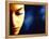 Close-up of Woman's Face-null-Framed Premier Image Canvas