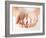 Close Up of Womans Cupped Hands Showing Paper Man Family-dolgachov-Framed Photographic Print