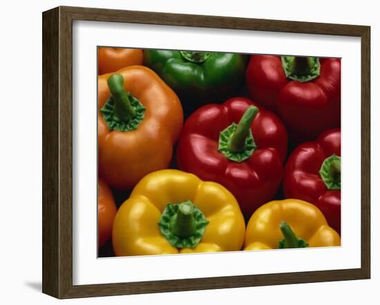 Close-Up of Yellow, Red, Orange and Green Peppers-Lee Frost-Framed Photographic Print