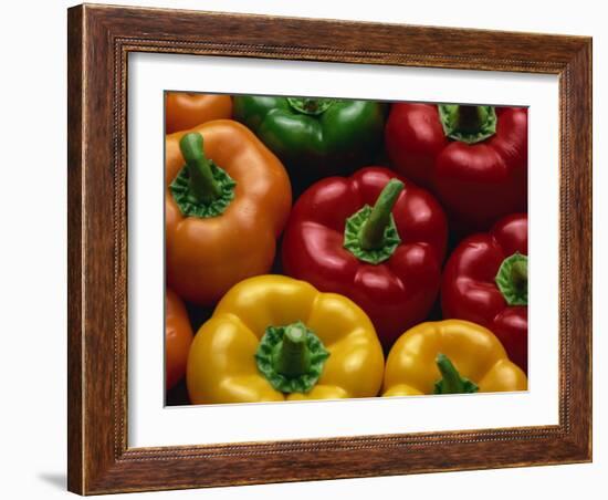 Close-Up of Yellow, Red, Orange and Green Peppers-Lee Frost-Framed Photographic Print