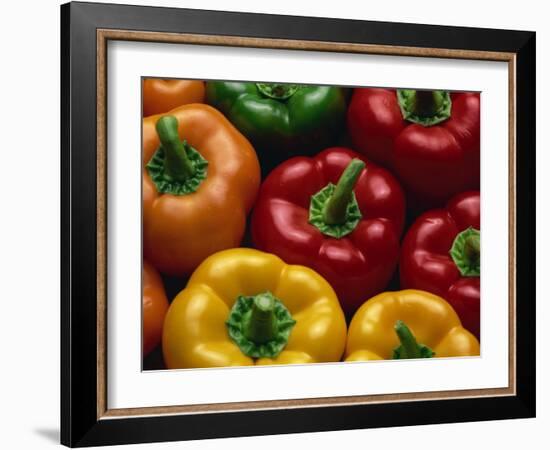 Close-Up of Yellow, Red, Orange and Green Peppers-Lee Frost-Framed Photographic Print