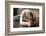 Close up of Young Woman Practicing Yoga, Sitting in Head to Knee Forward Bend Exercise, Janu Sirsas-fizkes-Framed Photographic Print