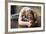 Close up of Young Woman Practicing Yoga, Sitting in Head to Knee Forward Bend Exercise, Janu Sirsas-fizkes-Framed Photographic Print