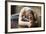 Close up of Young Woman Practicing Yoga, Sitting in Head to Knee Forward Bend Exercise, Janu Sirsas-fizkes-Framed Photographic Print