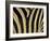 Close-Up of Zebra Skin, South Africa, Africa-Steve & Ann Toon-Framed Premium Photographic Print