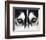 Close Up On Blue Eyes Of A Dog-melis-Framed Photographic Print