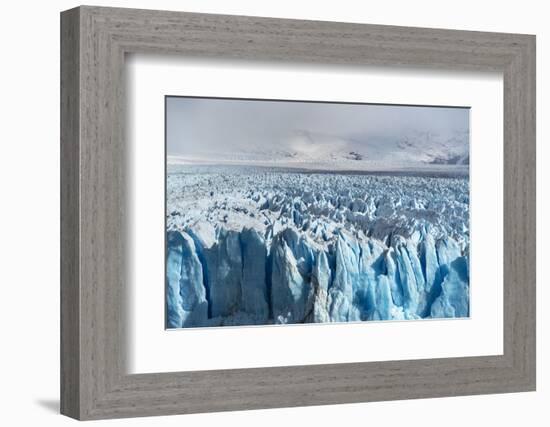 Close up on the ice of Perito Moreno glacier, Los Glaciares National Park, Santa Cruz, Argentina-francesco vaninetti-Framed Photographic Print