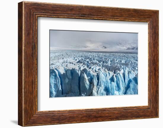 Close up on the ice of Perito Moreno glacier, Los Glaciares National Park, Santa Cruz, Argentina-francesco vaninetti-Framed Photographic Print