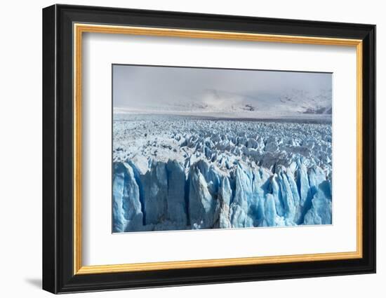 Close up on the ice of Perito Moreno glacier, Los Glaciares National Park, Santa Cruz, Argentina-francesco vaninetti-Framed Photographic Print