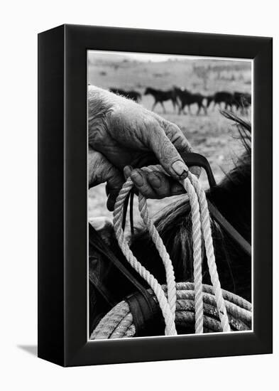 Close Up on Weather Beaten Hand of Whistle Mills Ranch Foreman Holding Rope-John Loengard-Framed Premier Image Canvas