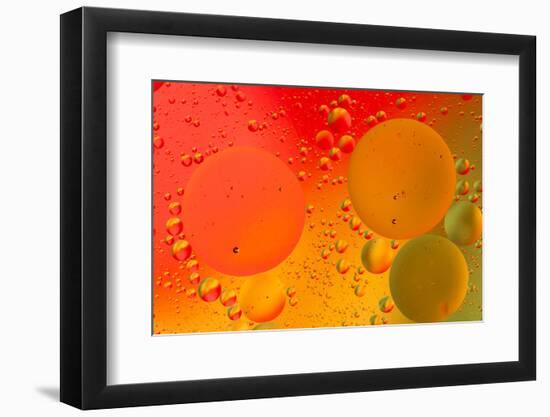 Close-up pattern of bubbles in oil and water mixture.-Adam Jones-Framed Photographic Print