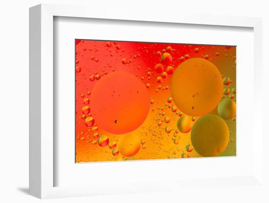 Close-up pattern of bubbles in oil and water mixture.-Adam Jones-Framed Photographic Print