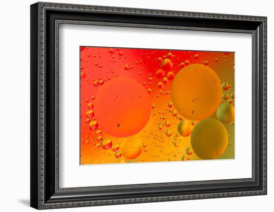 Close-up pattern of bubbles in oil and water mixture.-Adam Jones-Framed Photographic Print