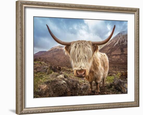 Close up Portrait of a Highland Cattle at the Glamaig Mountains on Isle of Skye, Scotland, UK-Zoltan Gabor-Framed Photographic Print