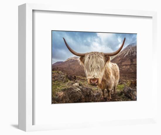 Close up Portrait of a Highland Cattle at the Glamaig Mountains on Isle of Skye, Scotland, UK-Zoltan Gabor-Framed Photographic Print