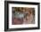 Close-up portrait of a lion, Panthera leo. Mashatu Game Reserve, Botswana.-Sergio Pitamitz-Framed Photographic Print