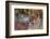 Close-up portrait of a lion, Panthera leo. Mashatu Game Reserve, Botswana.-Sergio Pitamitz-Framed Photographic Print