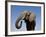 Close Up Portrait of an African Elephant on a Clear Blue Sky.  Hwange National Park, Zimbabwe-Karine Aigner-Framed Photographic Print