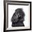 Close-Up Portrait of Beautiful Black Poodle-eAlisa-Framed Photographic Print