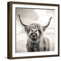 Close up portrait of Scottish Highland cattle on a farm-Mark Gemmell-Framed Photographic Print