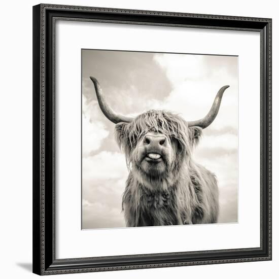 Close up portrait of Scottish Highland cattle on a farm-Mark Gemmell-Framed Photographic Print