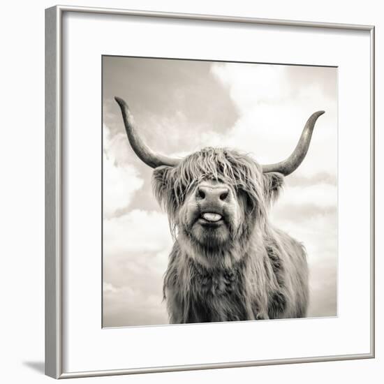 Close up portrait of Scottish Highland cattle on a farm-Mark Gemmell-Framed Photographic Print