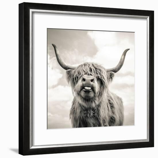 Close up portrait of Scottish Highland cattle on a farm-Mark Gemmell-Framed Photographic Print