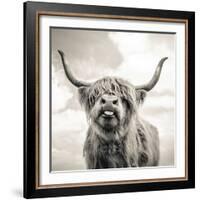 Close up portrait of Scottish Highland cattle on a farm-Mark Gemmell-Framed Photographic Print