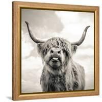 Close up portrait of Scottish Highland cattle on a farm-Mark Gemmell-Framed Premier Image Canvas