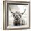 Close up portrait of Scottish Highland cattle on a farm-Mark Gemmell-Framed Premium Photographic Print