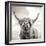 Close up portrait of Scottish Highland cattle on a farm-Mark Gemmell-Framed Premium Photographic Print