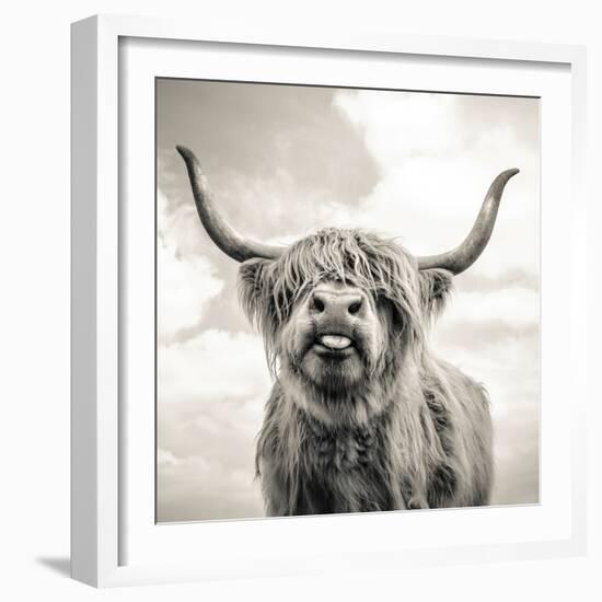 Close up portrait of Scottish Highland cattle on a farm-Mark Gemmell-Framed Premium Photographic Print