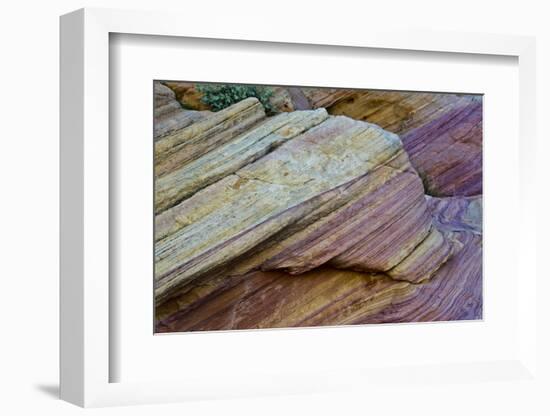 Close-up, Rainbow Vista, Valley of Fire State Park, Nevada, USA.-Michel Hersen-Framed Photographic Print