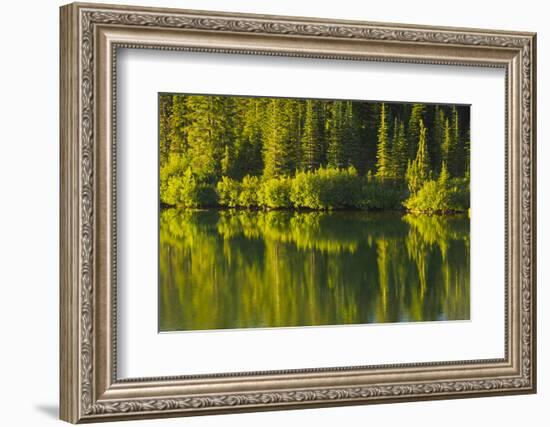 Close Up, Reflection, Reflection Lake, Mount Rainier NP, Washington-Michel Hersen-Framed Photographic Print