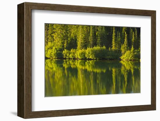 Close Up, Reflection, Reflection Lake, Mount Rainier NP, Washington-Michel Hersen-Framed Photographic Print