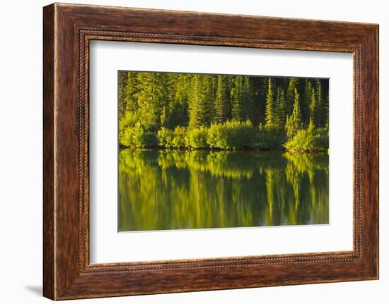 Close Up, Reflection, Reflection Lake, Mount Rainier NP, Washington-Michel Hersen-Framed Photographic Print