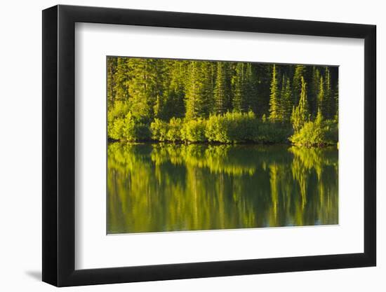 Close Up, Reflection, Reflection Lake, Mount Rainier NP, Washington-Michel Hersen-Framed Photographic Print