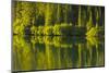 Close Up, Reflection, Reflection Lake, Mount Rainier NP, Washington-Michel Hersen-Mounted Photographic Print