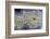 Close-Up Royal Aztec Lace Agate-Darrell Gulin-Framed Photographic Print