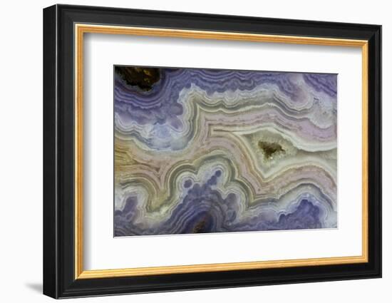 Close-Up Royal Aztec Lace Agate-Darrell Gulin-Framed Photographic Print