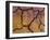 Close-Up Shot of Cracked Earth-Mallorie Ostrowitz-Framed Photographic Print