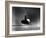 Close Up Shot of Driver Club Head Impacting Ball on Tee-Gjon Mili-Framed Photographic Print